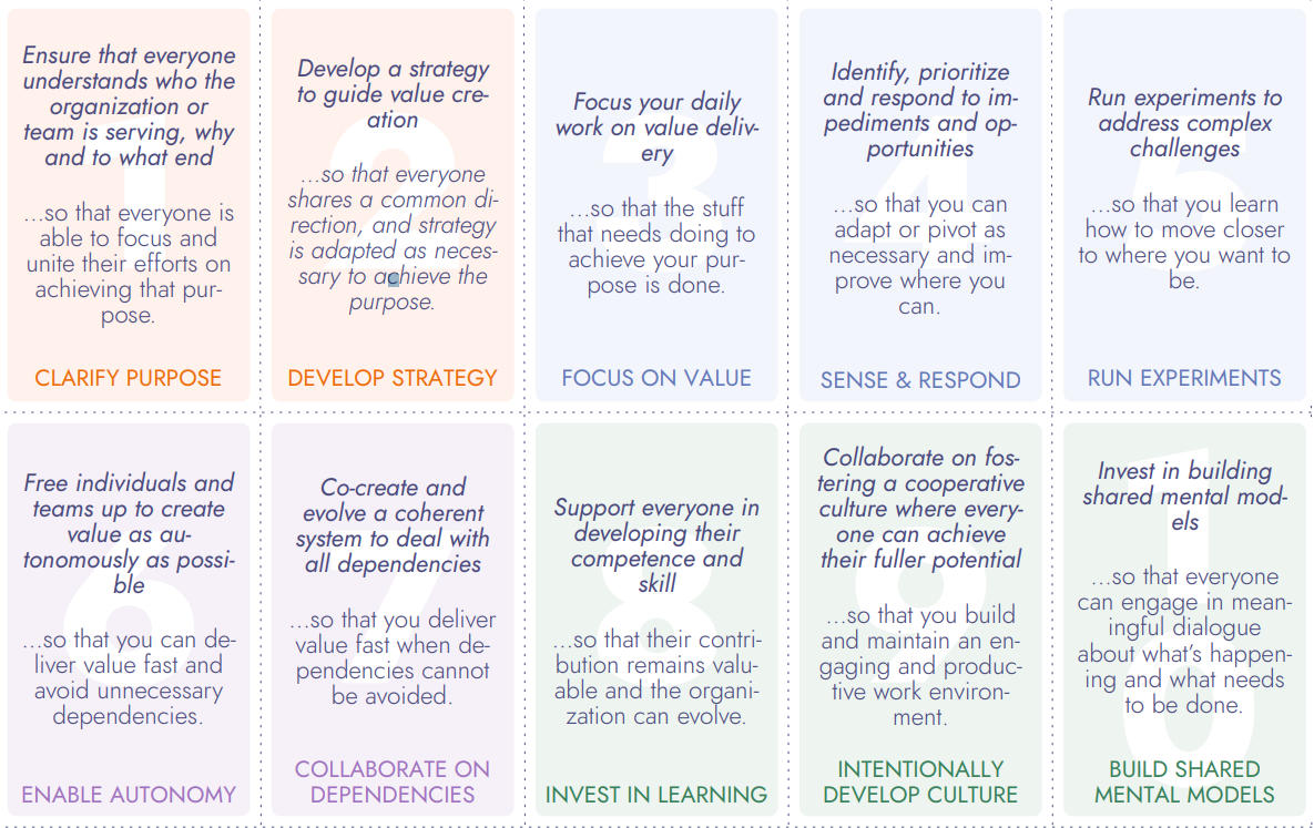 Common Sense Process Sociocracy 3.0, common sense framework